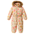 Камбенизоны